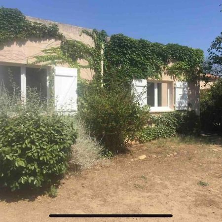 Adorable guest house en pleine nature,la nautique Narbonne Extérieur photo